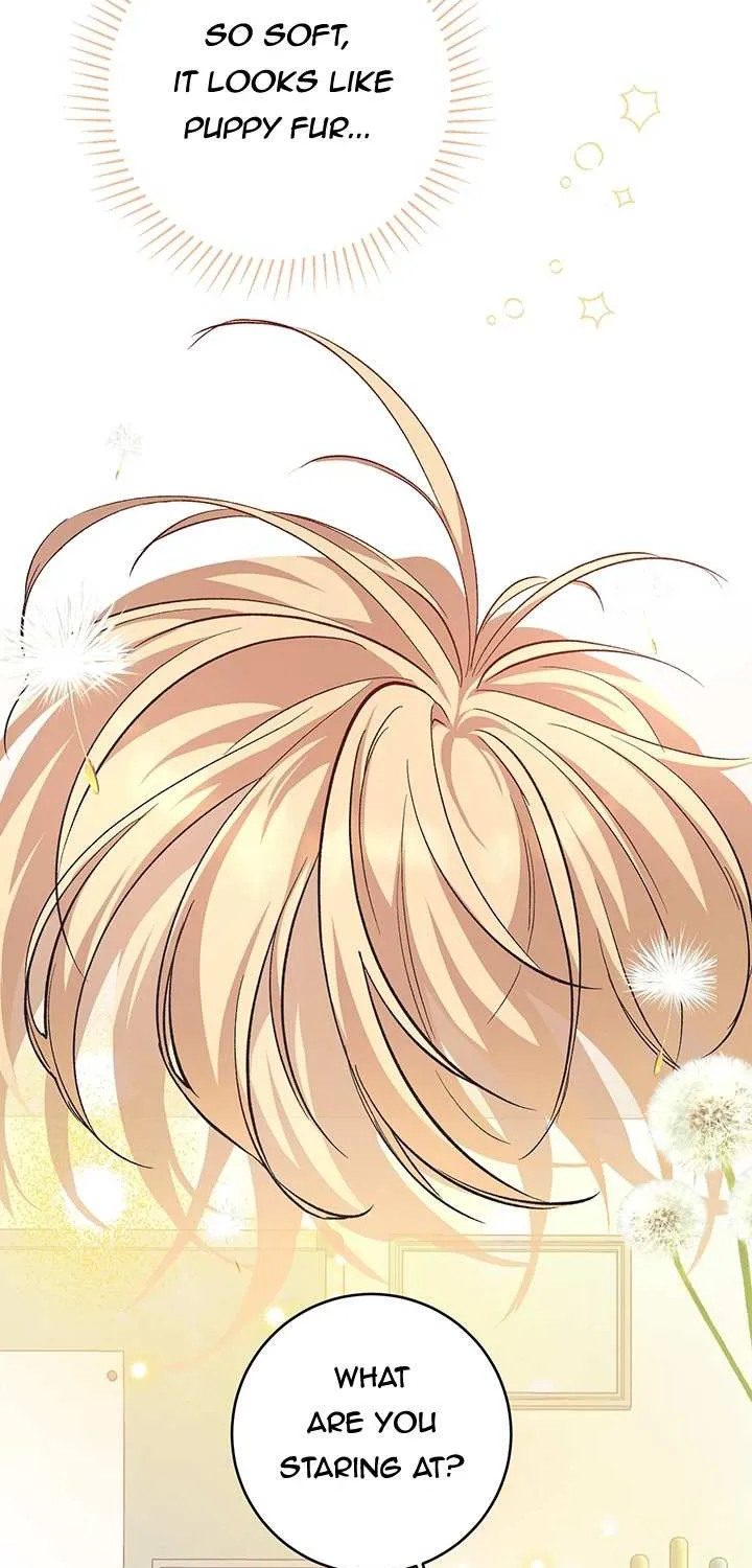 Read Dandelion Flower Observation Diary chapter 1 image 93 on Lezhin