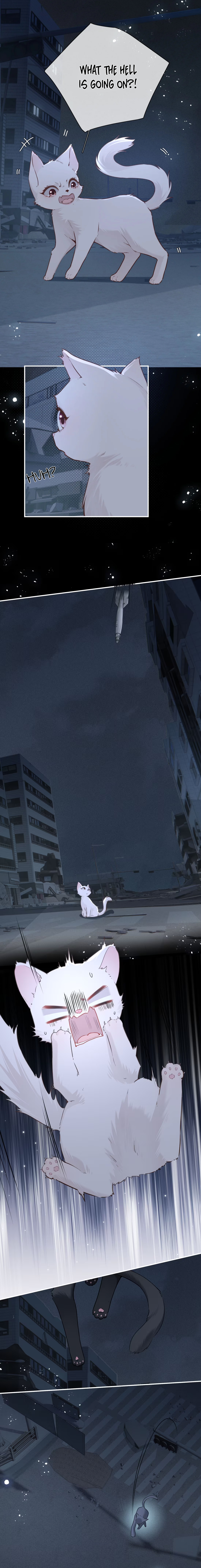 Read Dangerous Heartbeat chapter 21 image 1 on Lezhin