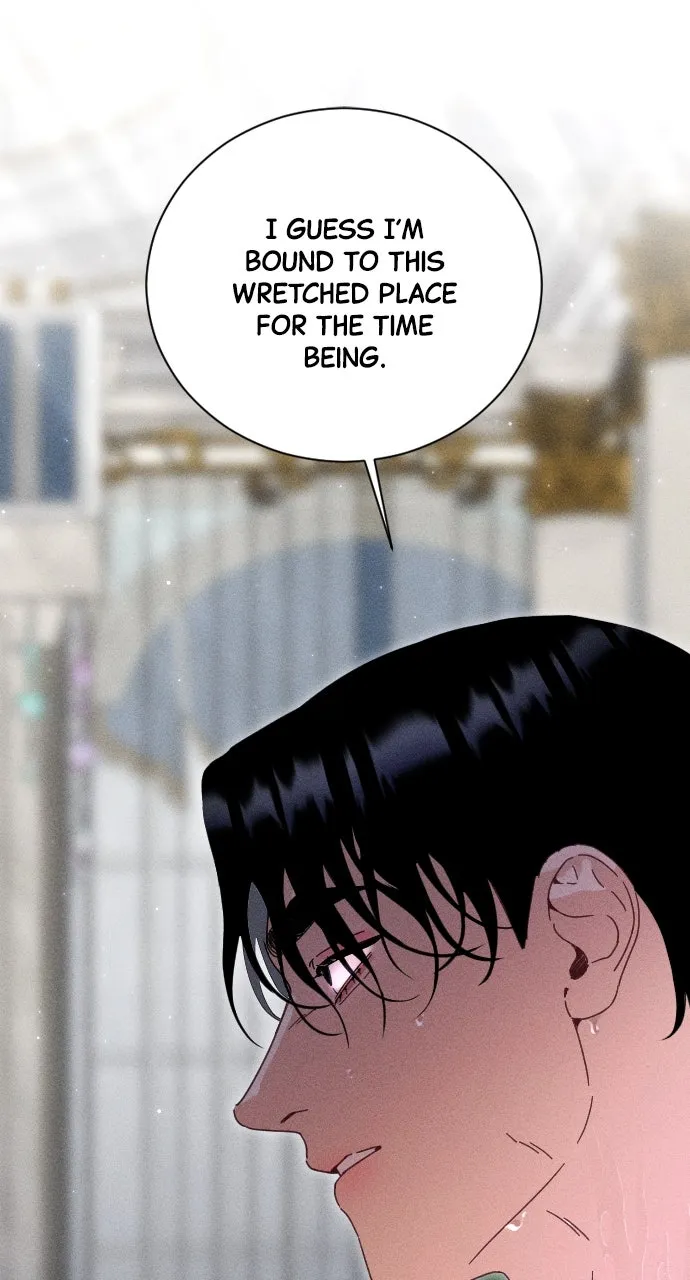 Read Dare I Hope chapter 1 image 24 on Lezhin