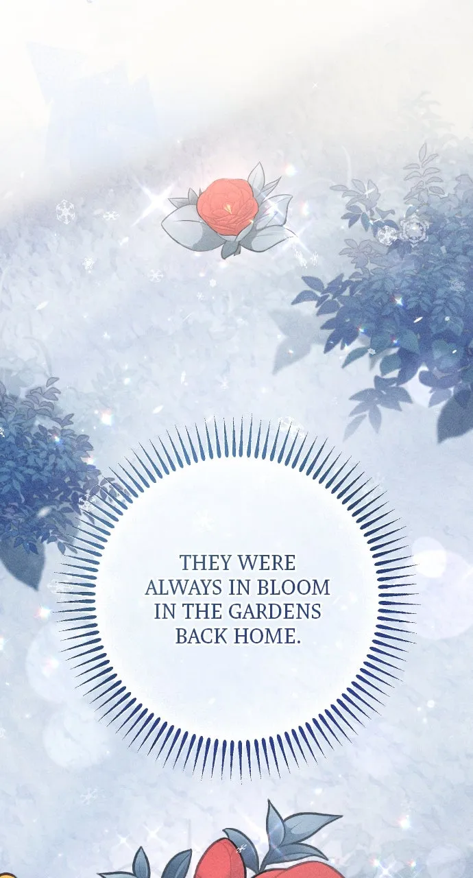 Read Dare I Hope chapter 5 image 80 on Lezhin