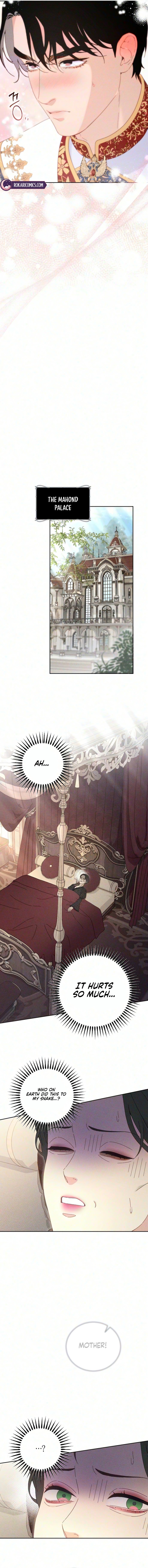 Read Dare I Hope chapter 54 image 5 on Lezhin