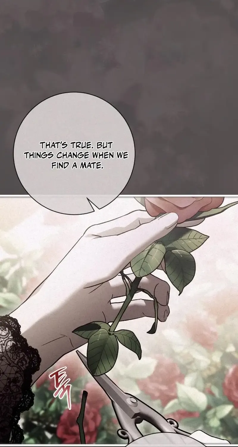 Dark Chain Chapter 37 page 7 - 