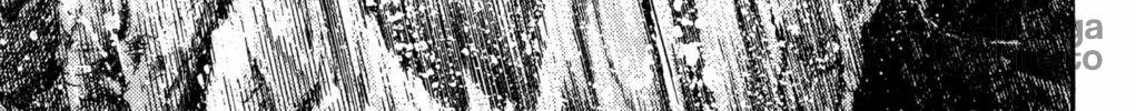 Read Darkside Blues chapter 2 image 233 on Lezhin