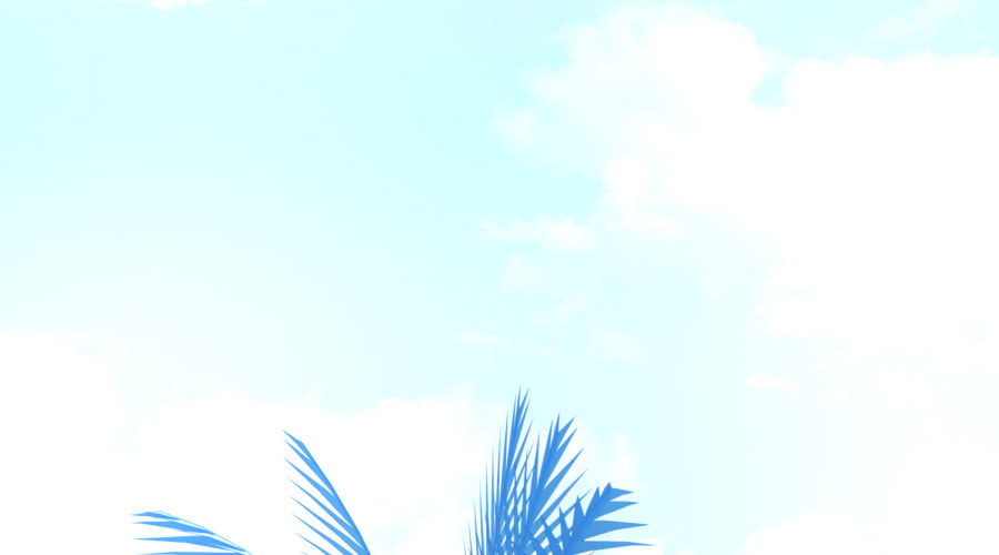 Dating Sim[on] Chapter 24 page 204 - 