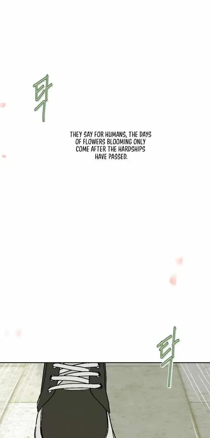 Read Dawn After Dark chapter 1.1 image 1 on Lezhin