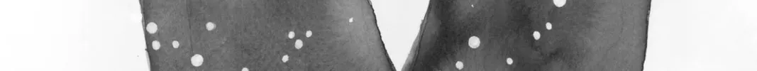 Read Daytime Shooting Star chapter 34.5 image 1 on Lezhin