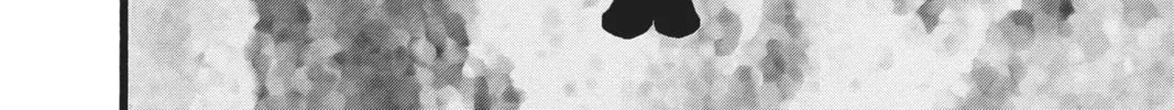 Read Daytime Shooting Star chapter 42 image 31 on Lezhin
