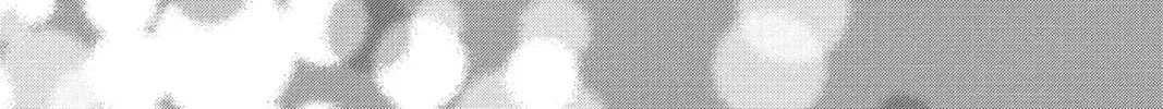Read Daytime Shooting Star chapter 71 image 21 on Lezhin