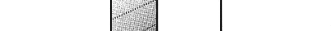 Read Daytime Shooting Star chapter 78 image 31 on Lezhin