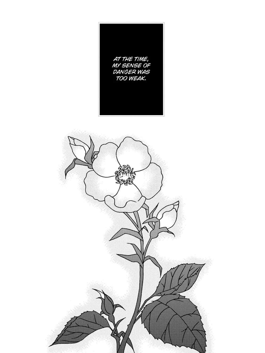 Dazzle Chapter 101 page 39 - 