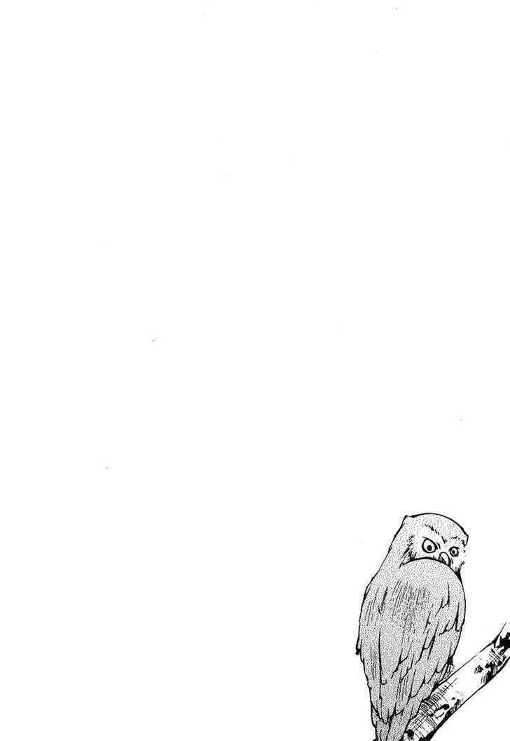 Dazzle Chapter 79 page 25 - 