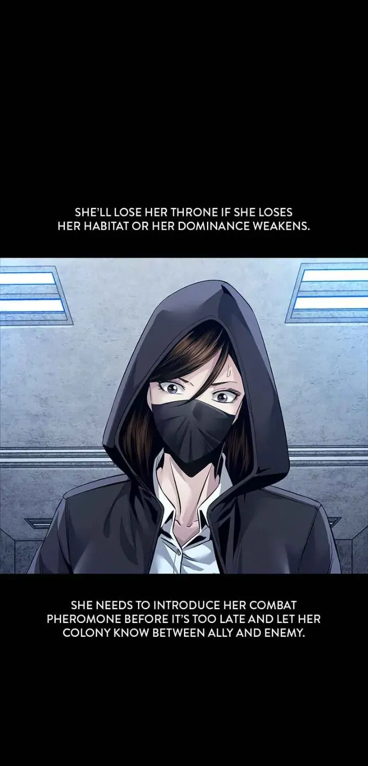 Read Dead Queen chapter 98 image 48 on Lezhin