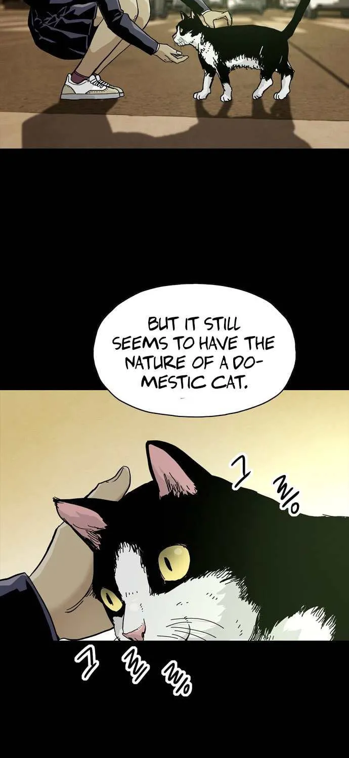 Read Deadlife chapter 48 image 21 on Lezhin