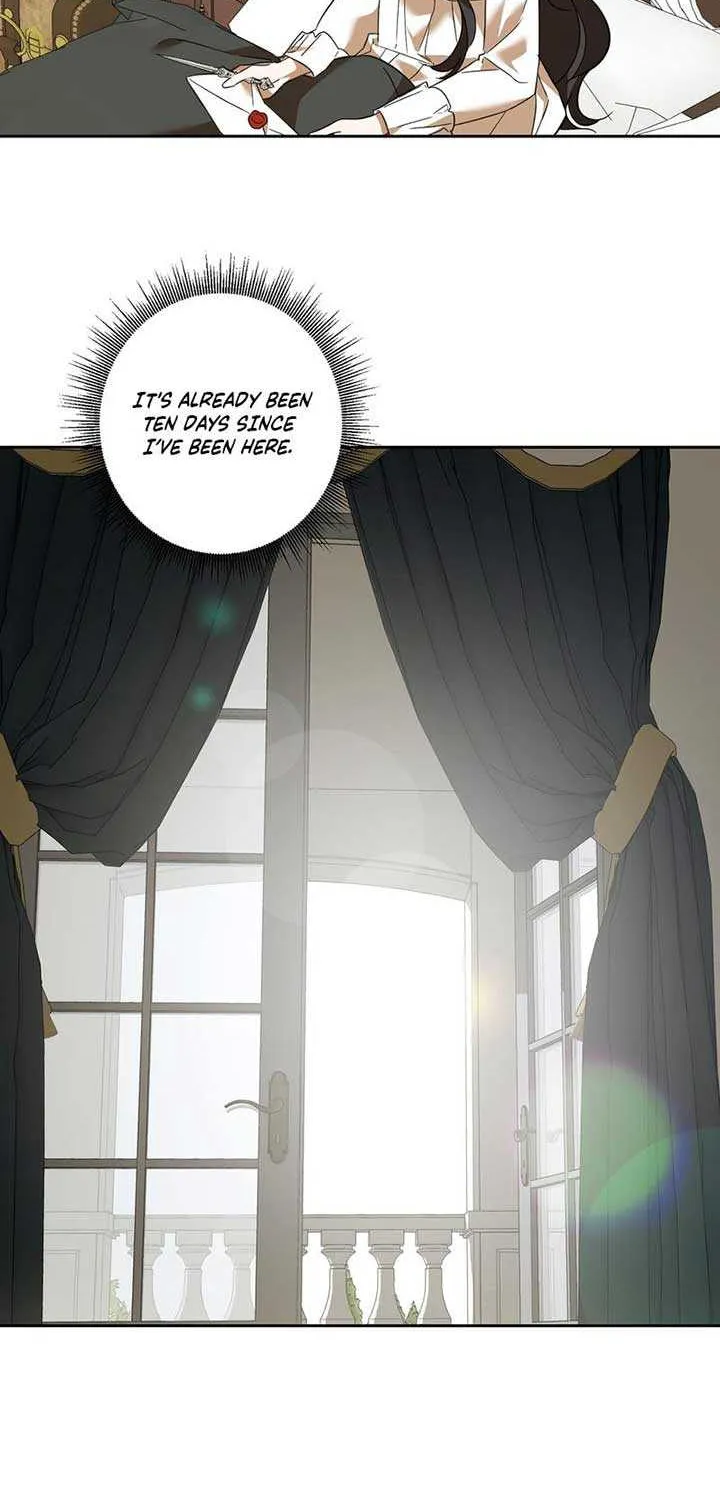 Read Dear Anonymous Sponsor chapter 12 image 50 on Lezhin