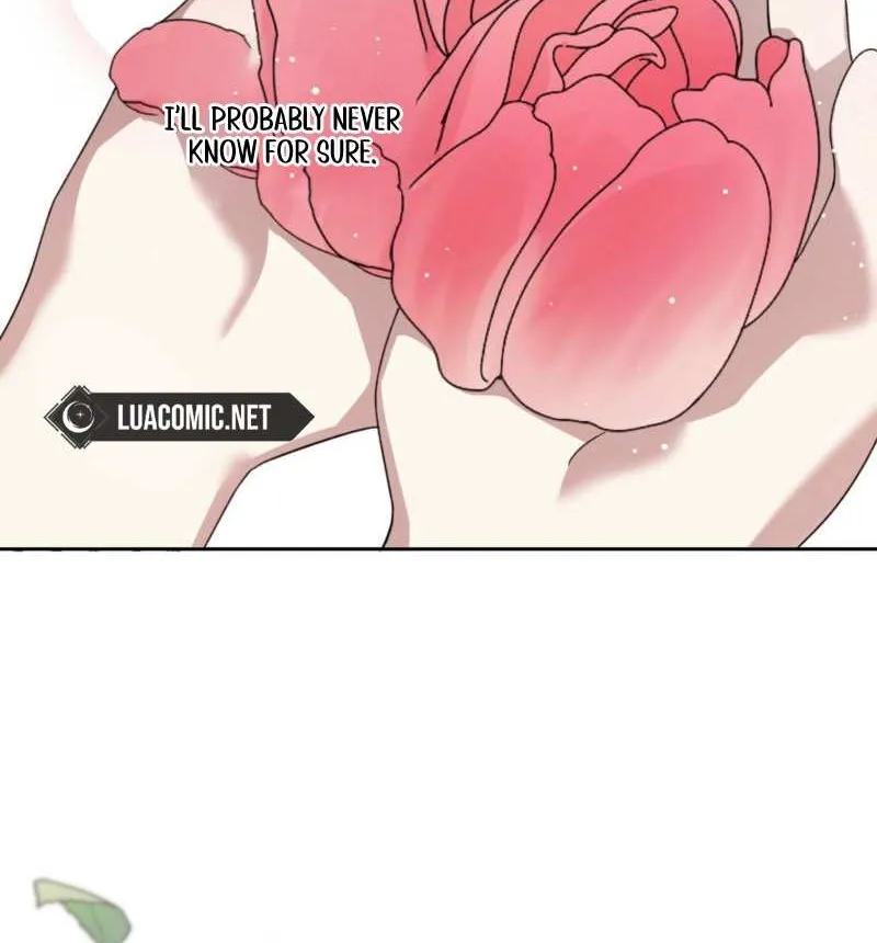 Read Dear Anonymous Sponsor chapter 4 image 12 on Lezhin