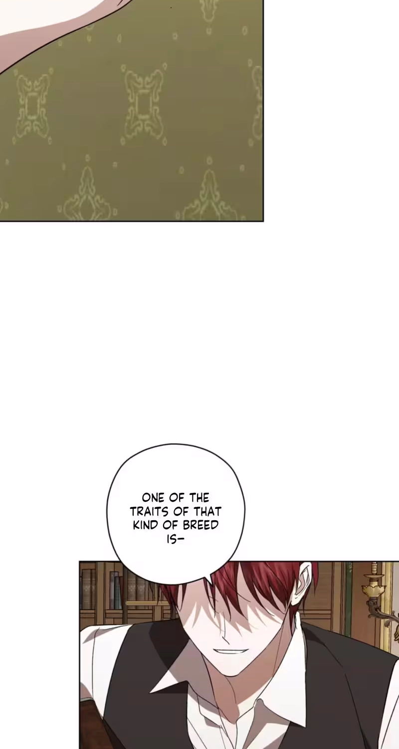 Read Dear Anonymous Sponsor chapter 63 image 41 on Lezhin