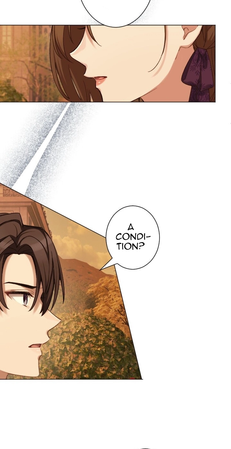 Dear Husband, I’ll Earn Money and Get a Divorce! Chapter 31 page 11 - 