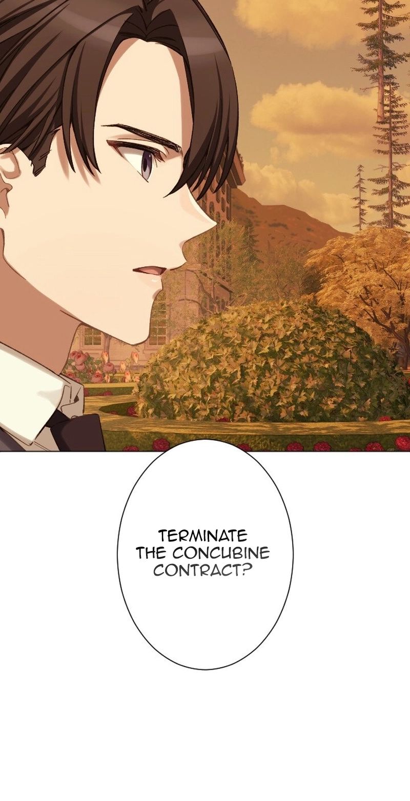 Dear Husband, I’ll Earn Money and Get a Divorce! Chapter 31 page 8 - 
