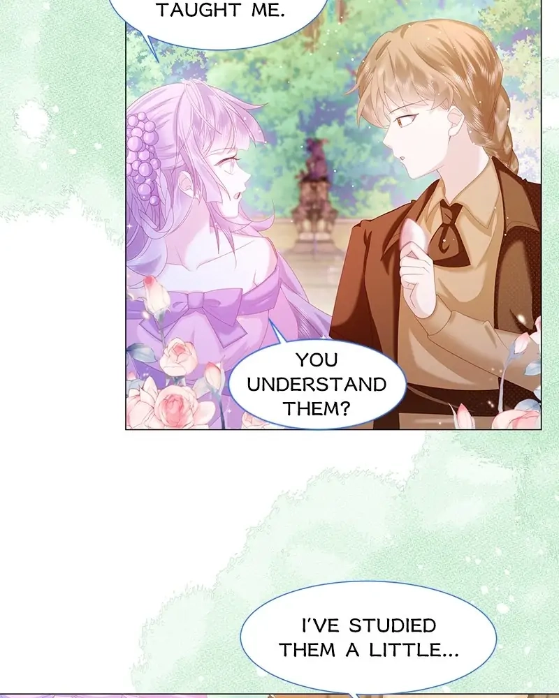 Read Dear Ninita chapter 12 image 11 on Lezhin