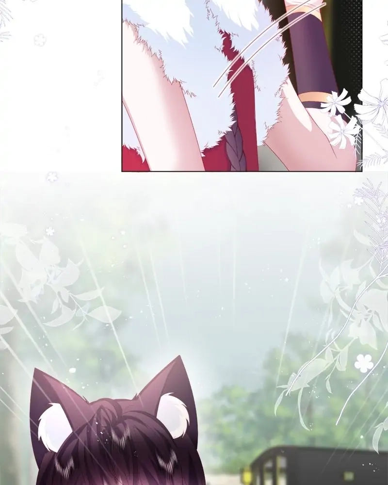 Read Dear Ninita chapter 18 image 17 on Lezhin