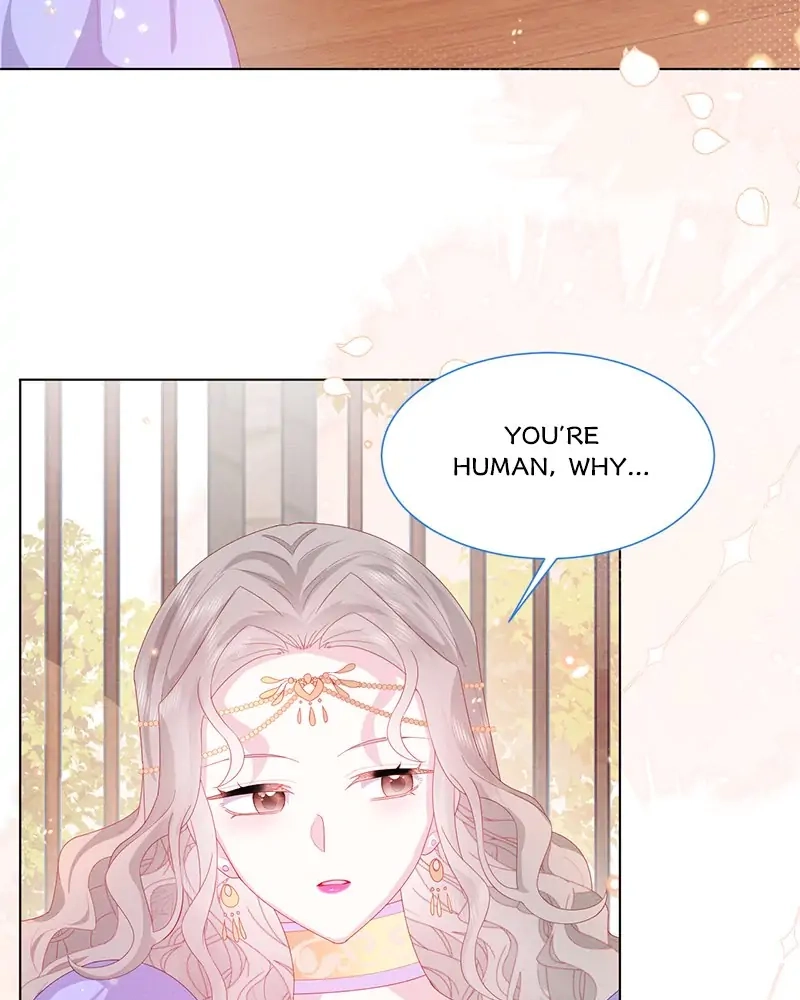Read Dear Ninita chapter 26 image 38 on Lezhin