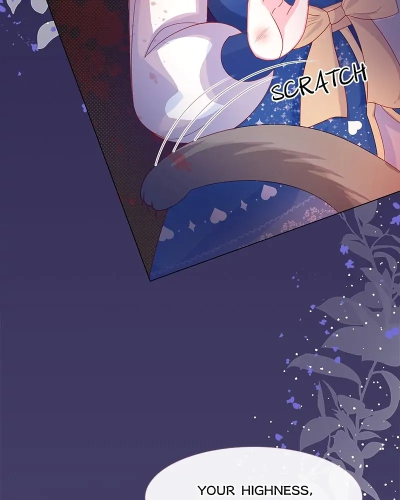Read Dear Ninita chapter 3 image 12 on Lezhin