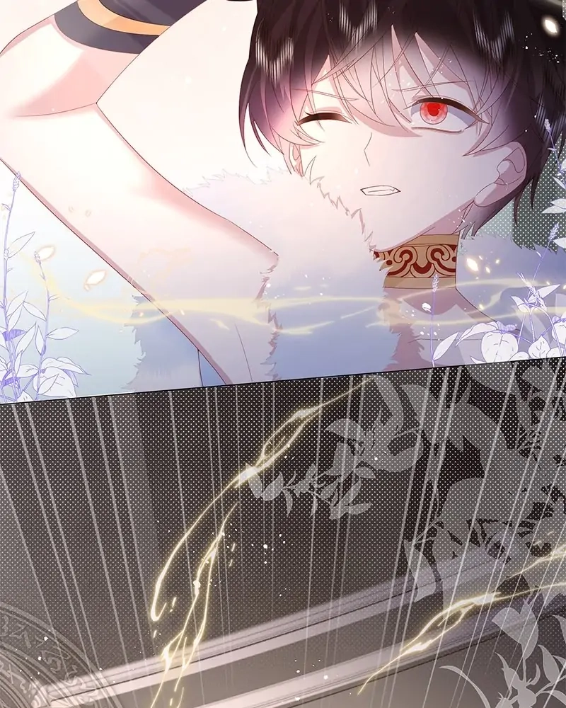 Read Dear Ninita chapter 5 image 23 on Lezhin
