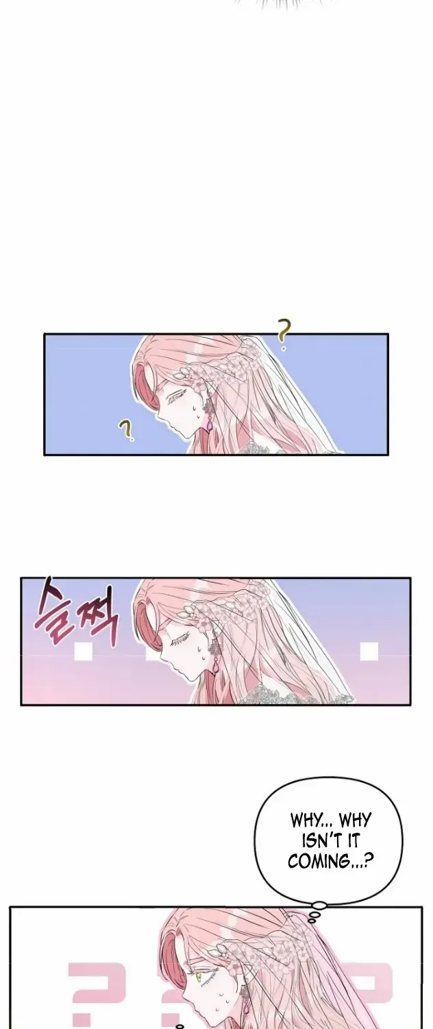 Dear Villainous Husband , the One to be Obsessed with is Over There Chapter 1 page 27 - 