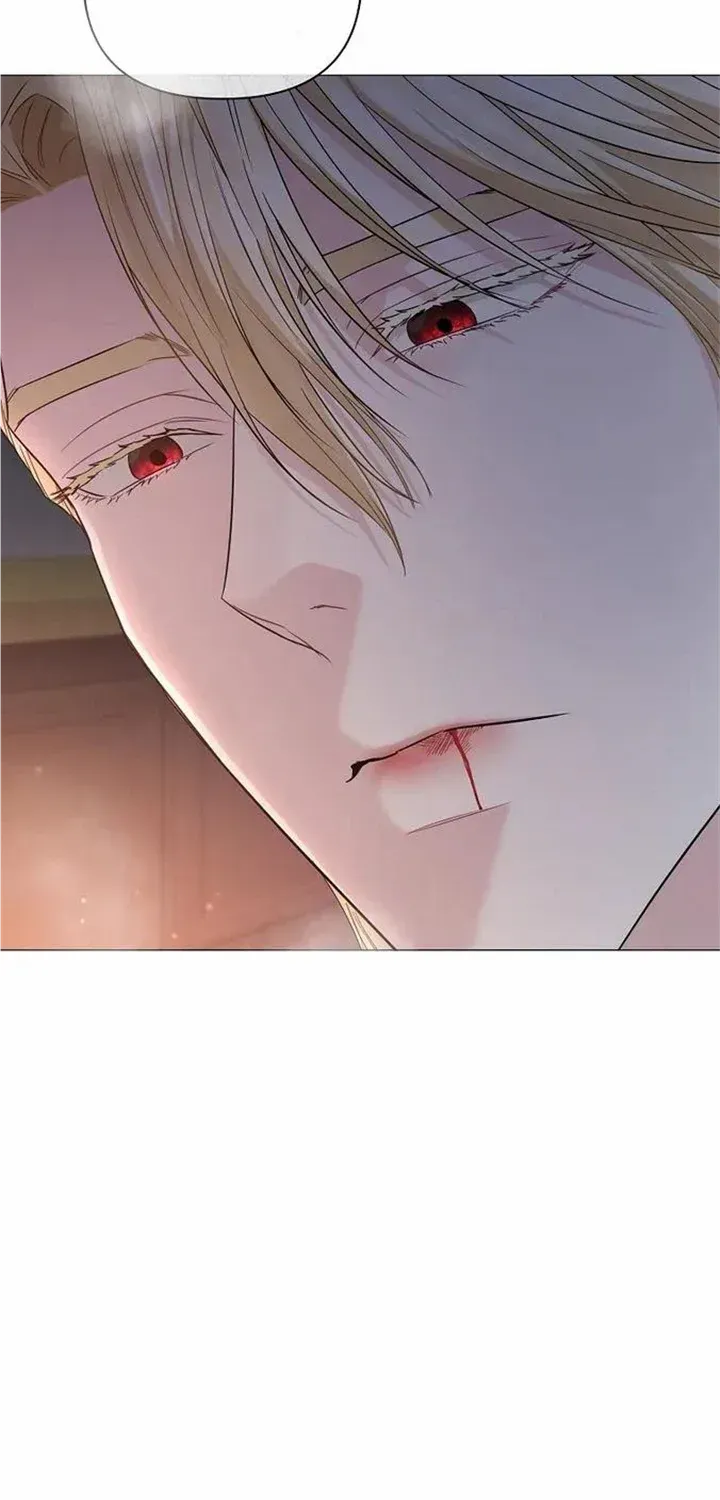 Dear Villainous Husband , the One to be Obsessed with is Over There Chapter 15 page 20 - 