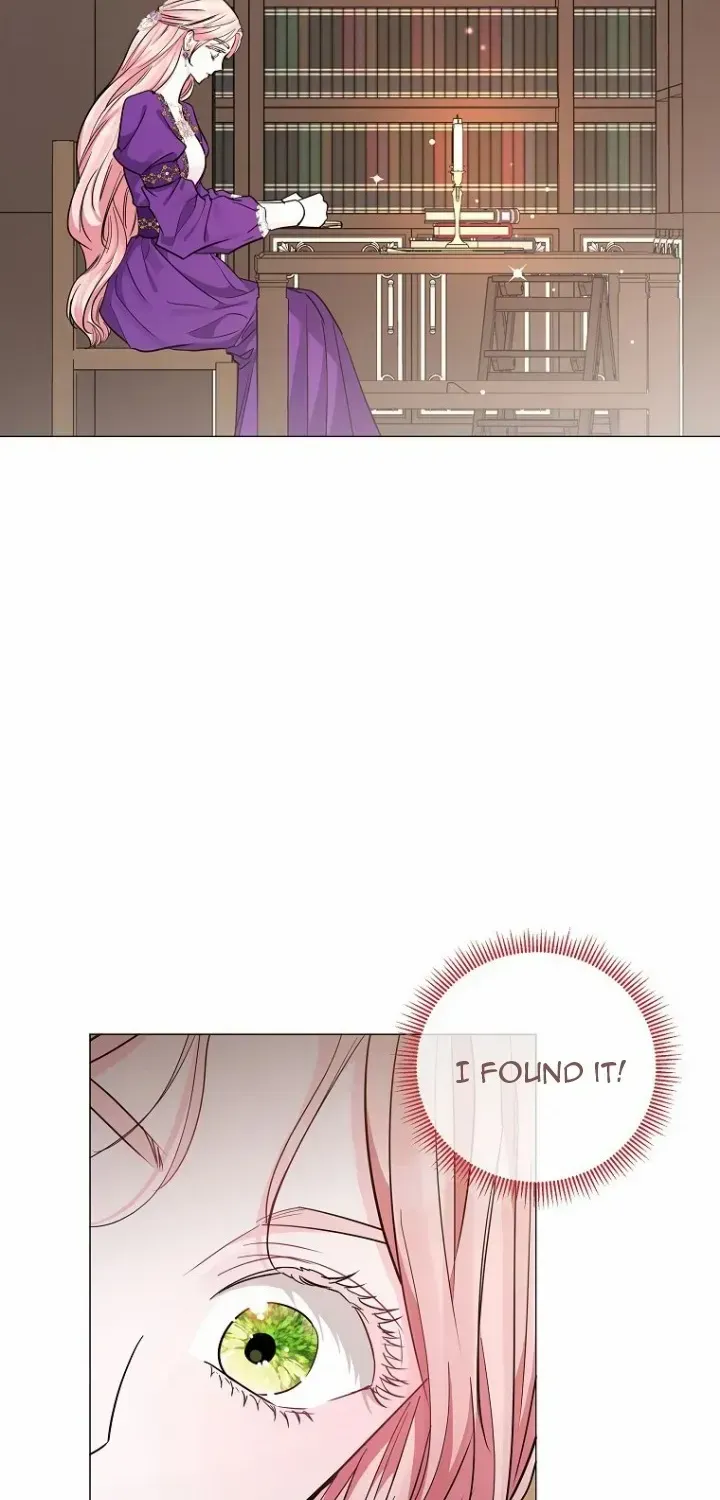 Dear Villainous Husband , the One to be Obsessed with is Over There Chapter 19 page 2 - 