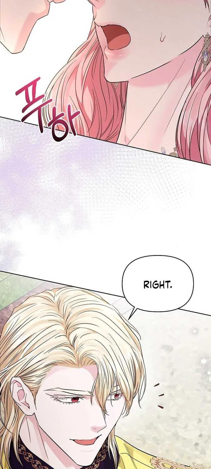 Dear Villainous Husband , the One to be Obsessed with is Over There Chapter 23 page 25 - 
