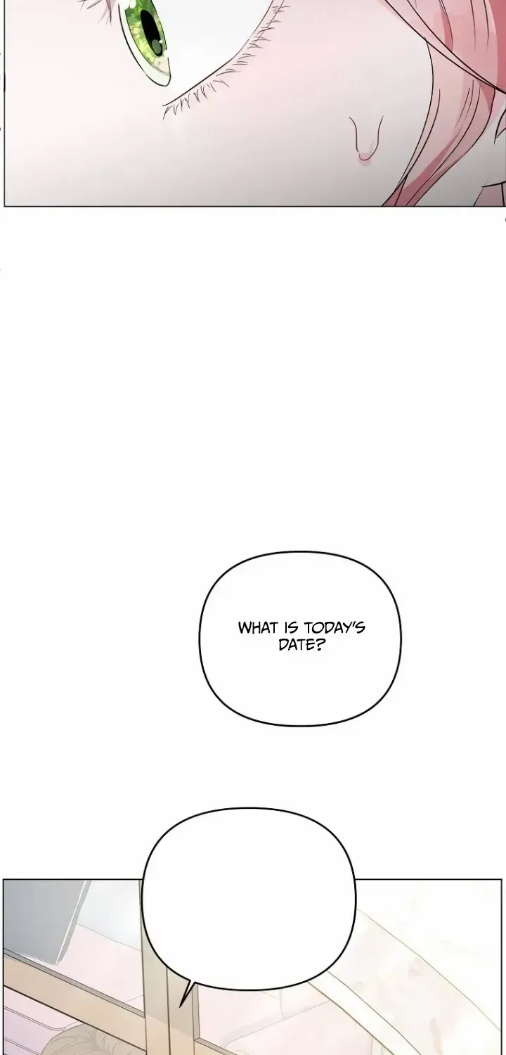 Dear Villainous Husband , the One to be Obsessed with is Over There Chapter 3 page 27 - 