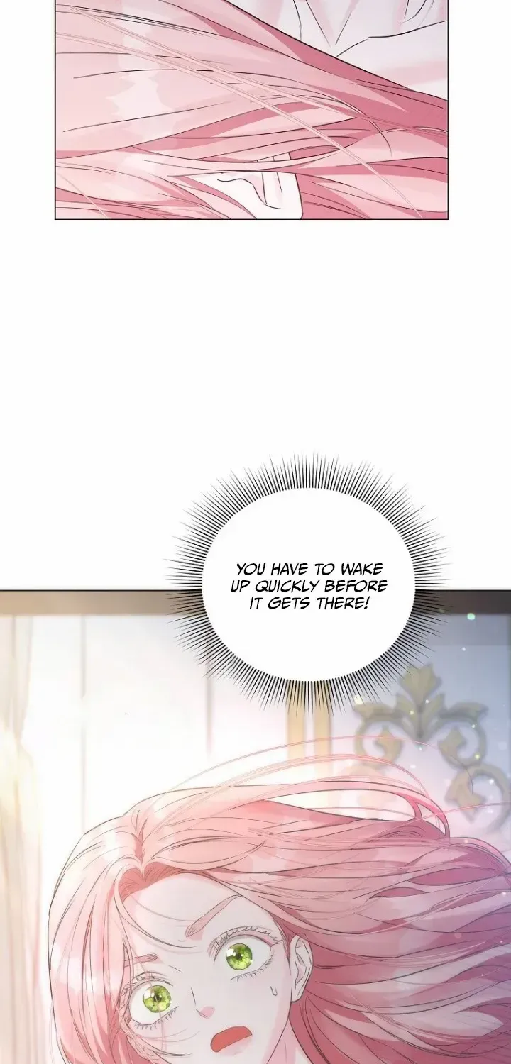 Dear Villainous Husband , the One to be Obsessed with is Over There Chapter 3 page 5 - 