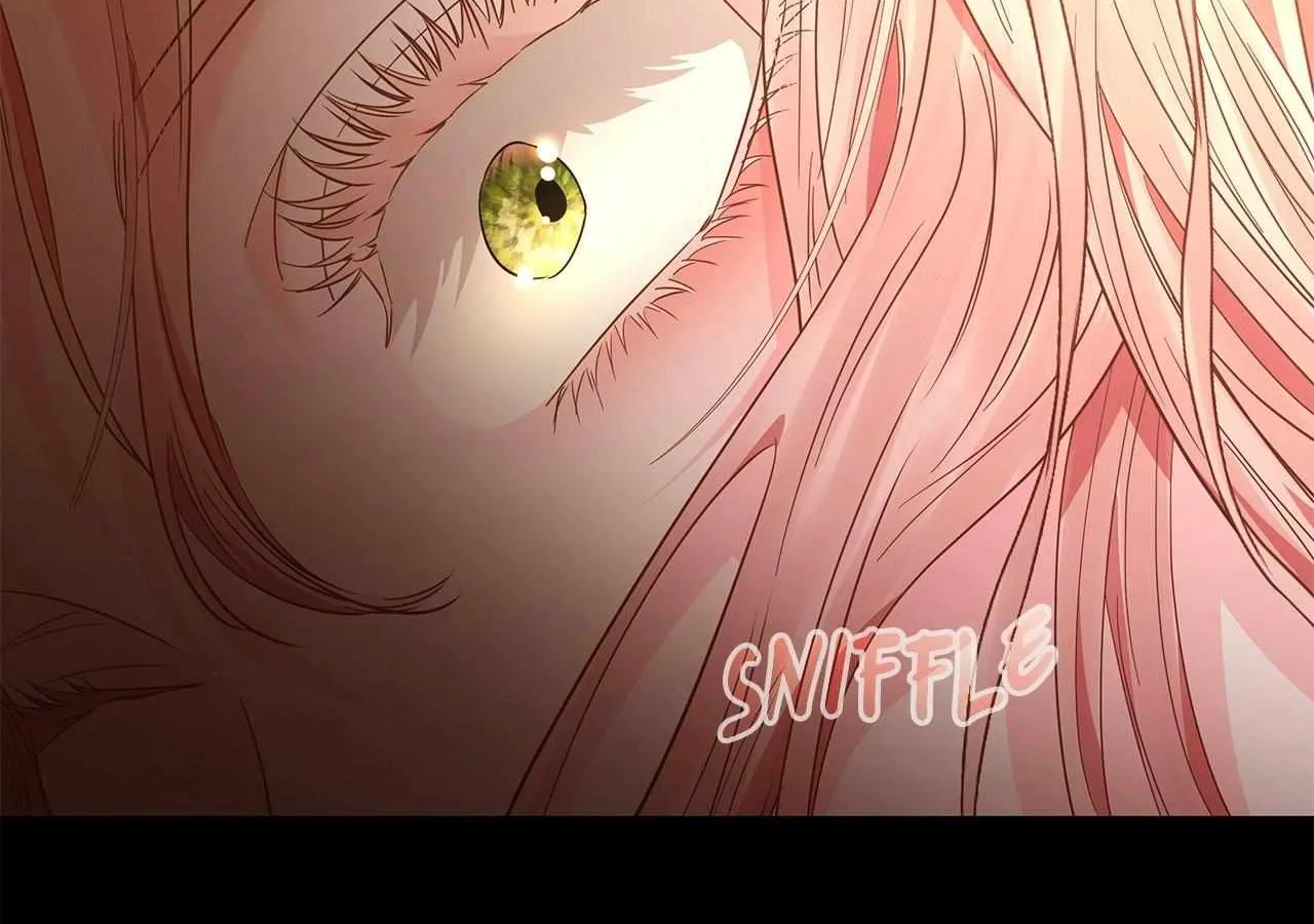 Dear Villainous Husband , the One to be Obsessed with is Over There Chapter 61 page 217 - 