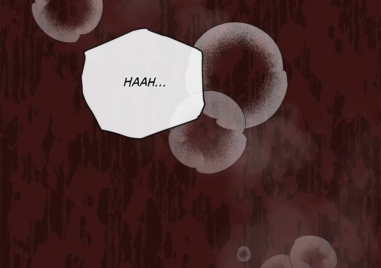 Dear Villainous Husband , the One to be Obsessed with is Over There Chapter 62 page 59 - 