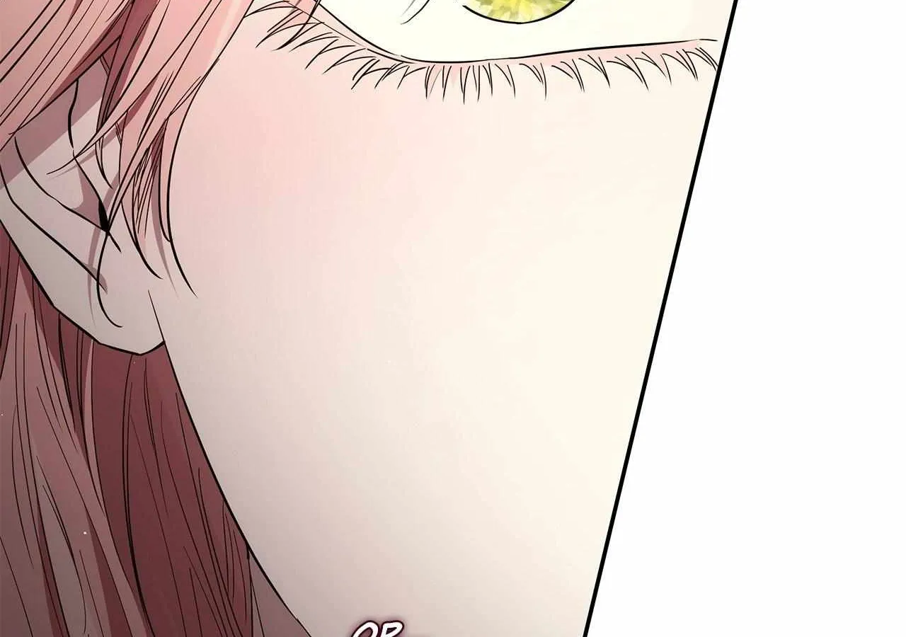 Dear Villainous Husband , the One to be Obsessed with is Over There Chapter 63 page 99 - 