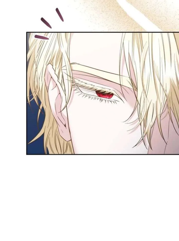 Dear Villainous Husband , the One to be Obsessed with is Over There Chapter 64 page 104 - 