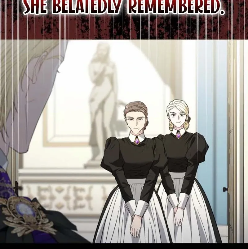 Dear Villainous Husband , the One to be Obsessed with is Over There Chapter 66 page 102 - 
