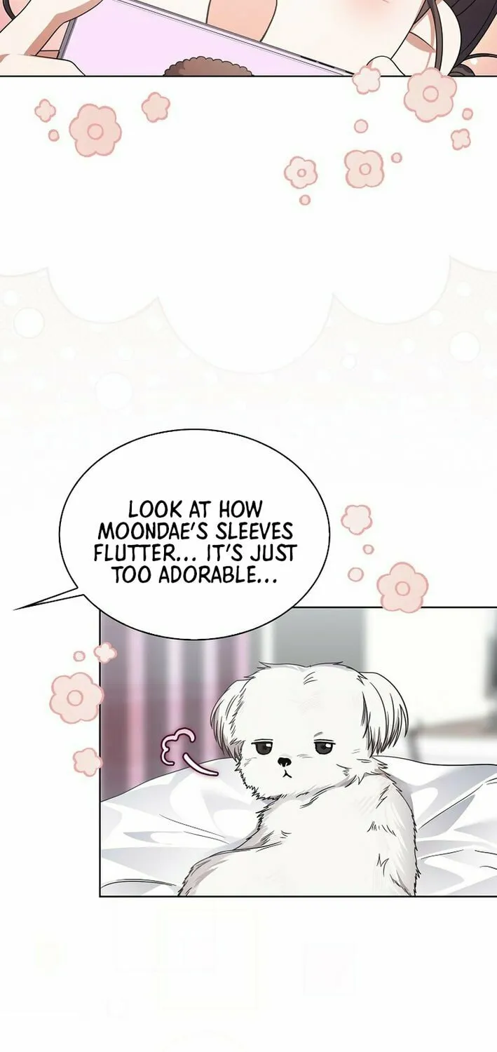 Read Debut or Die! chapter 84 image 7 on Lezhin