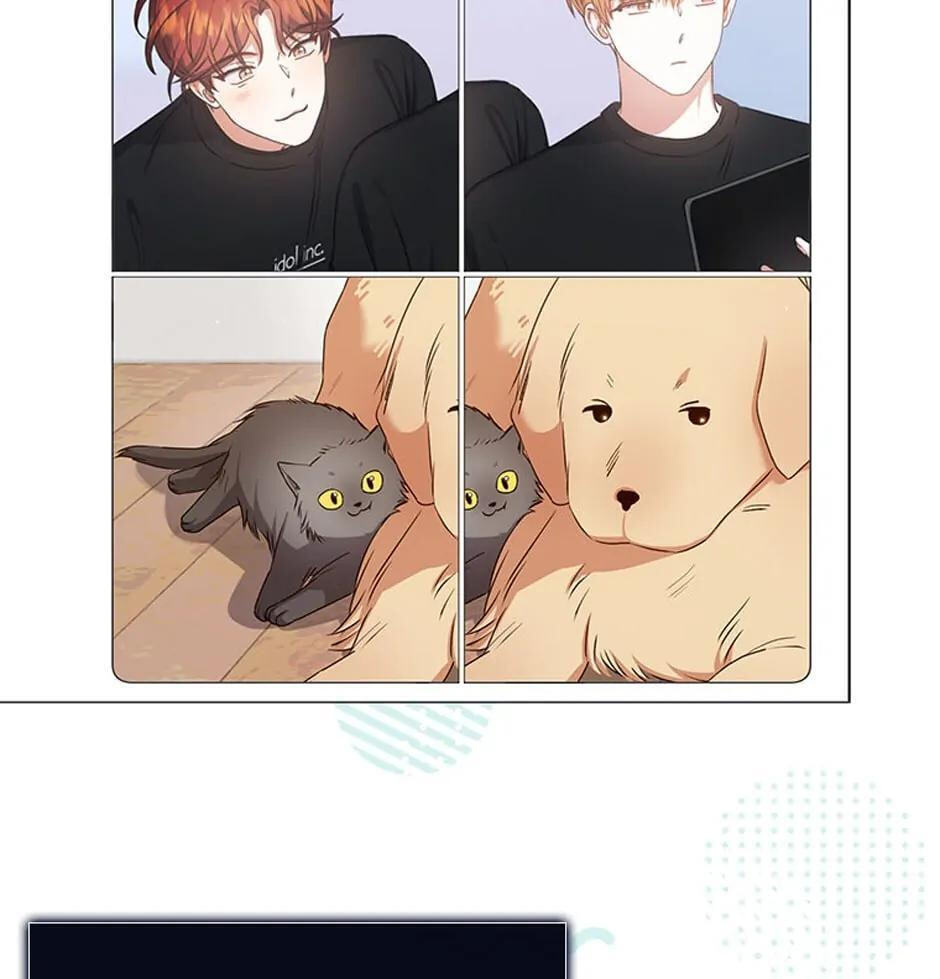 Read Debut or Die! chapter 41 image 84 on Lezhin