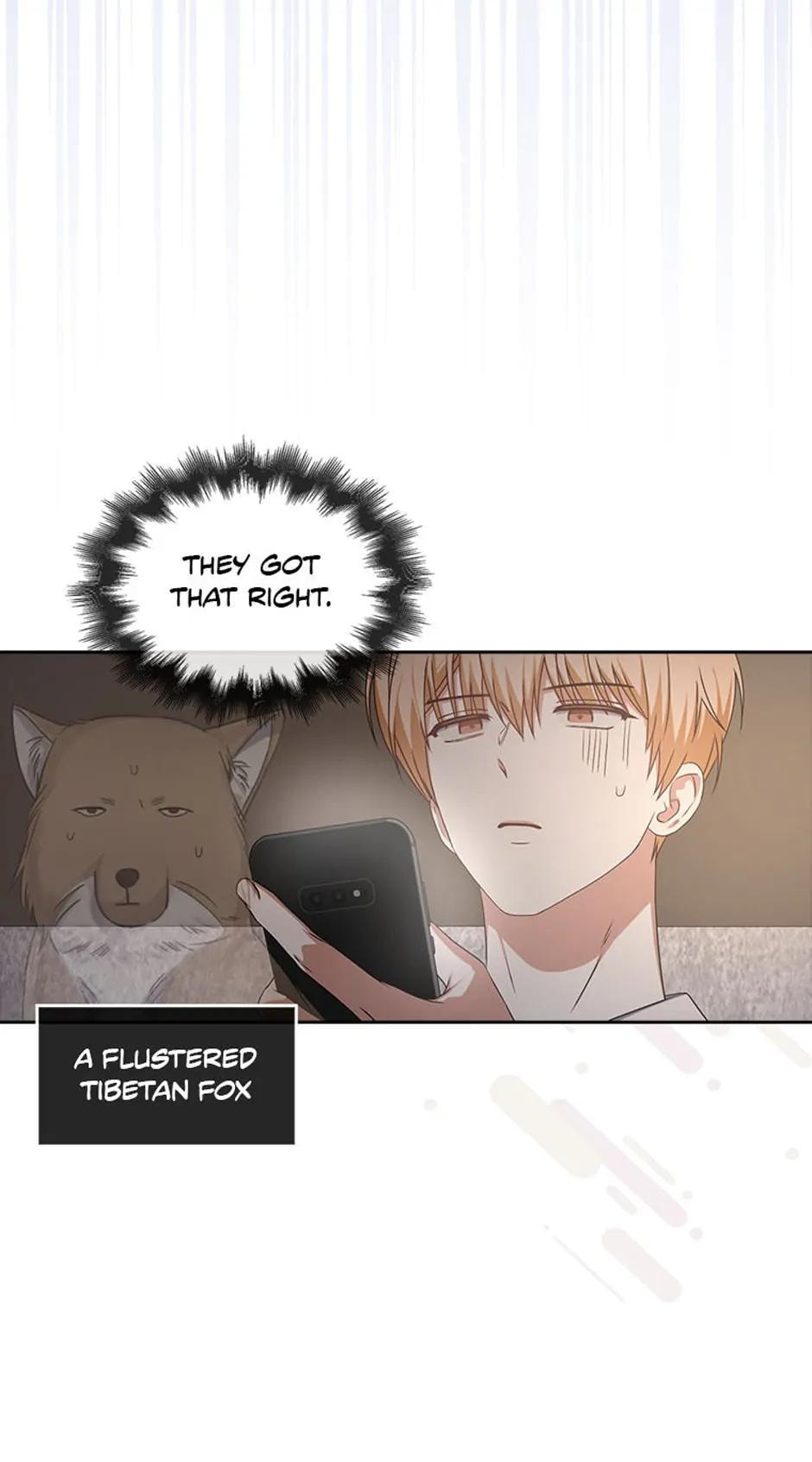 Read Debut or Die! chapter 49 image 71 on Lezhin