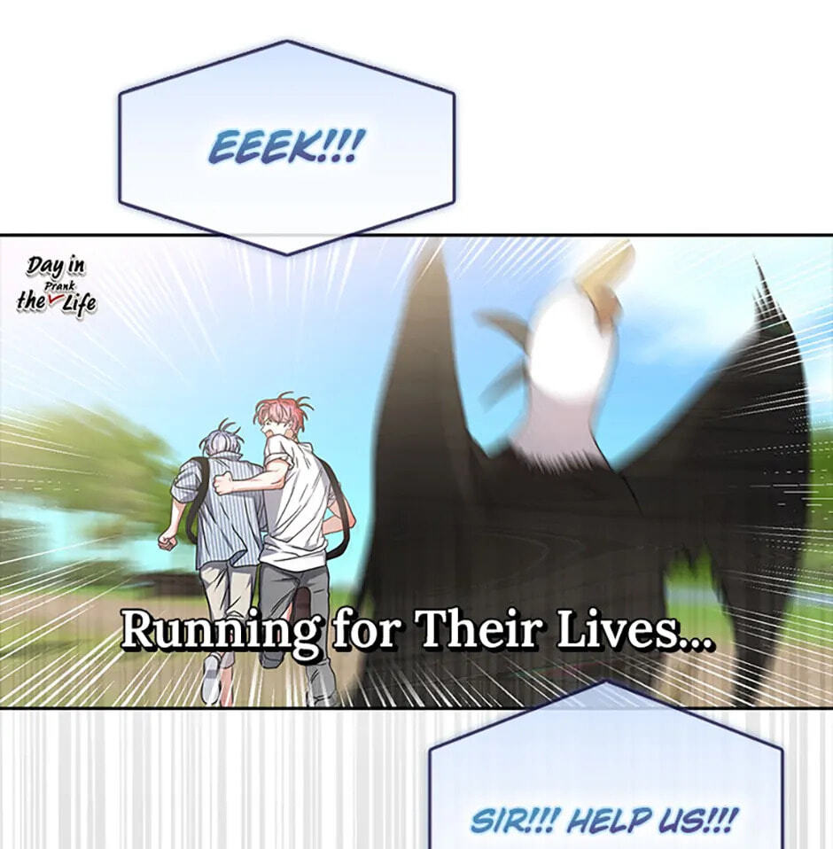 Read Debut or Die! chapter 82 image 19 on Lezhin