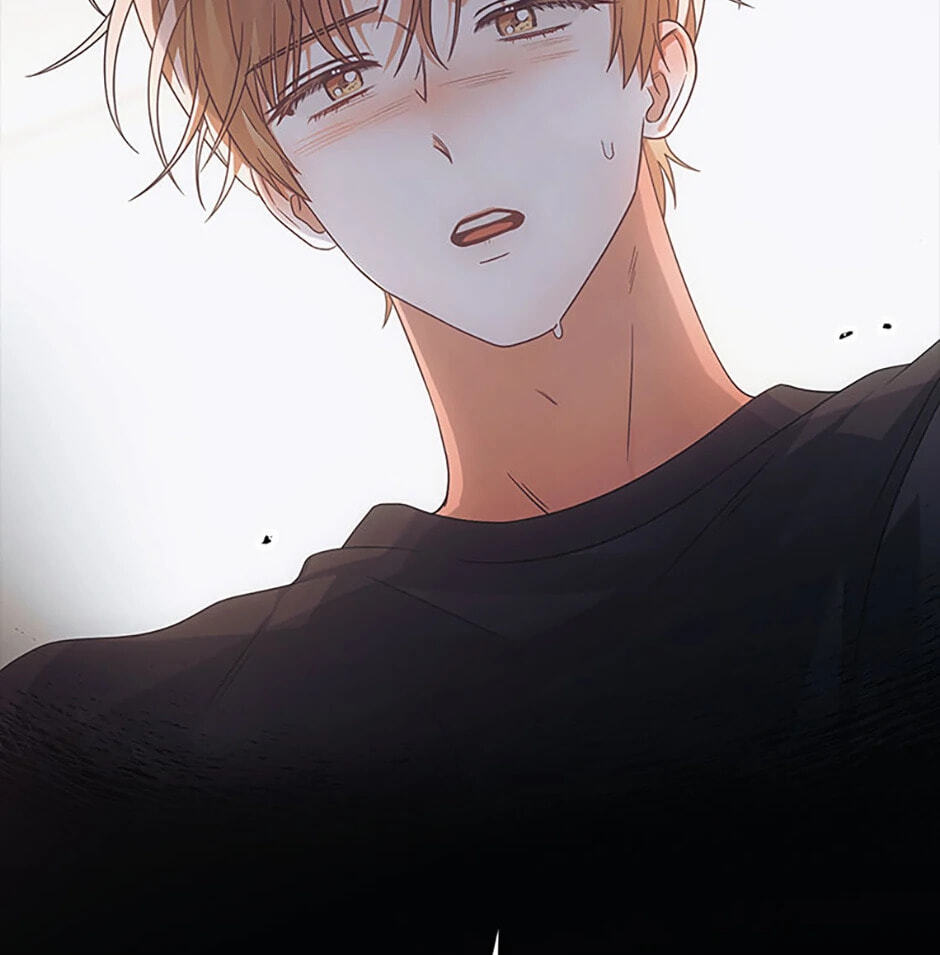 Read Debut or Die! chapter 91 image 73 on Lezhin