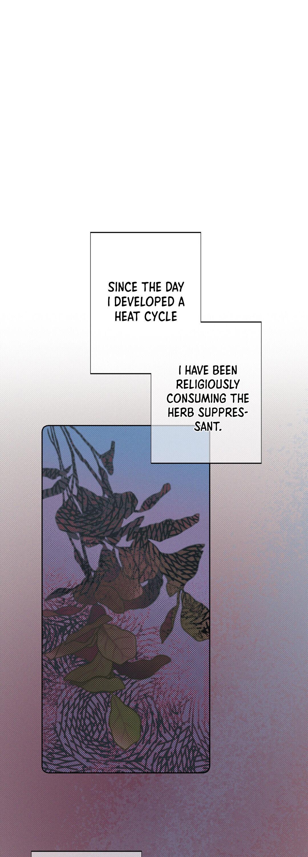 Read December chapter 13.1 image 2 on Lezhin