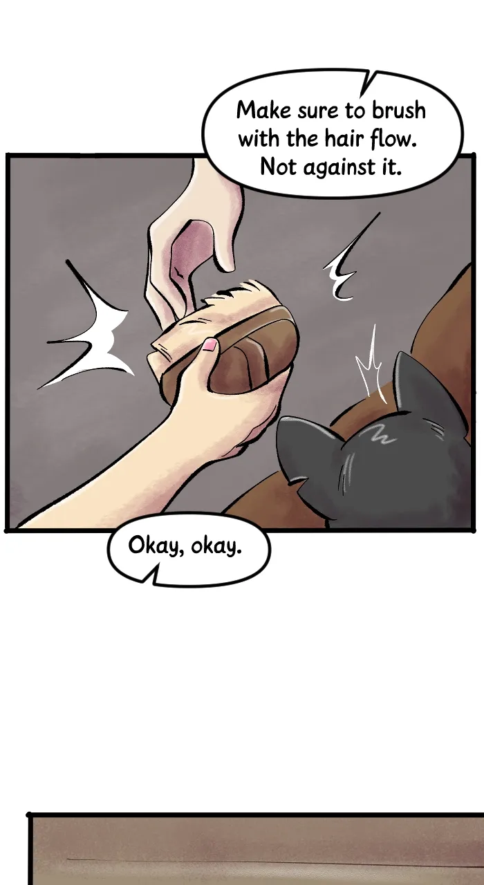 Read Deception chapter 259 image 18 on Lezhin