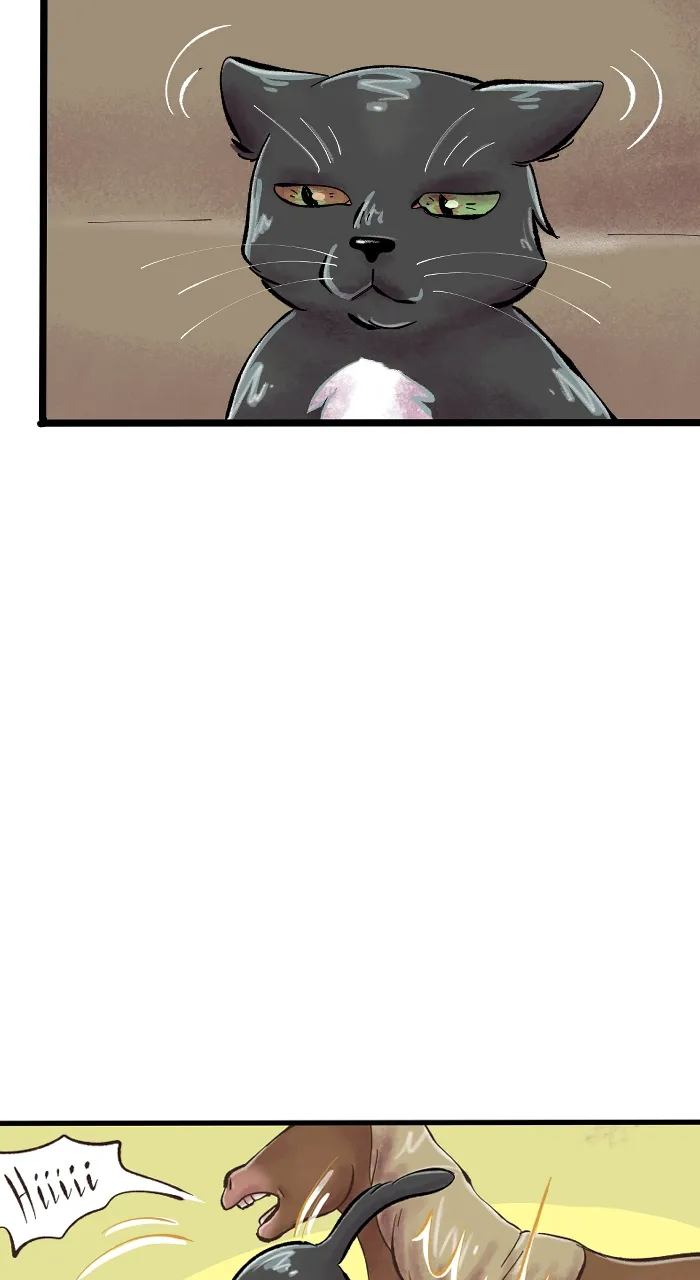 Read Deception chapter 259 image 19 on Lezhin