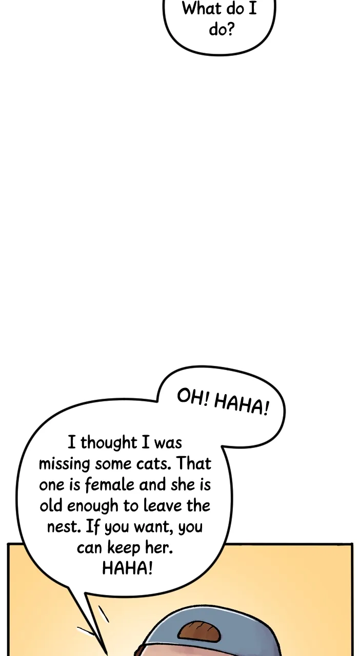 Read Deception chapter 261 image 18 on Lezhin