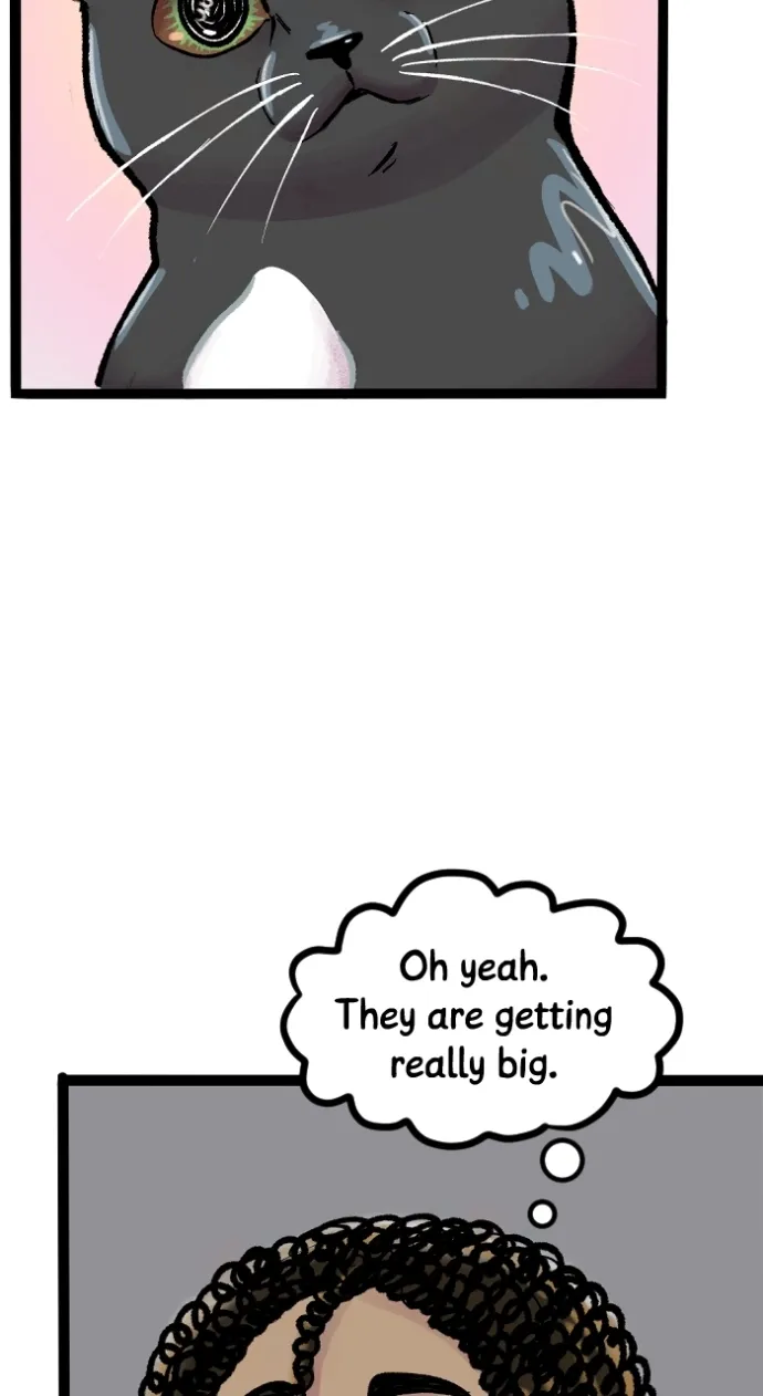 Read Deception chapter 279 image 15 on Lezhin