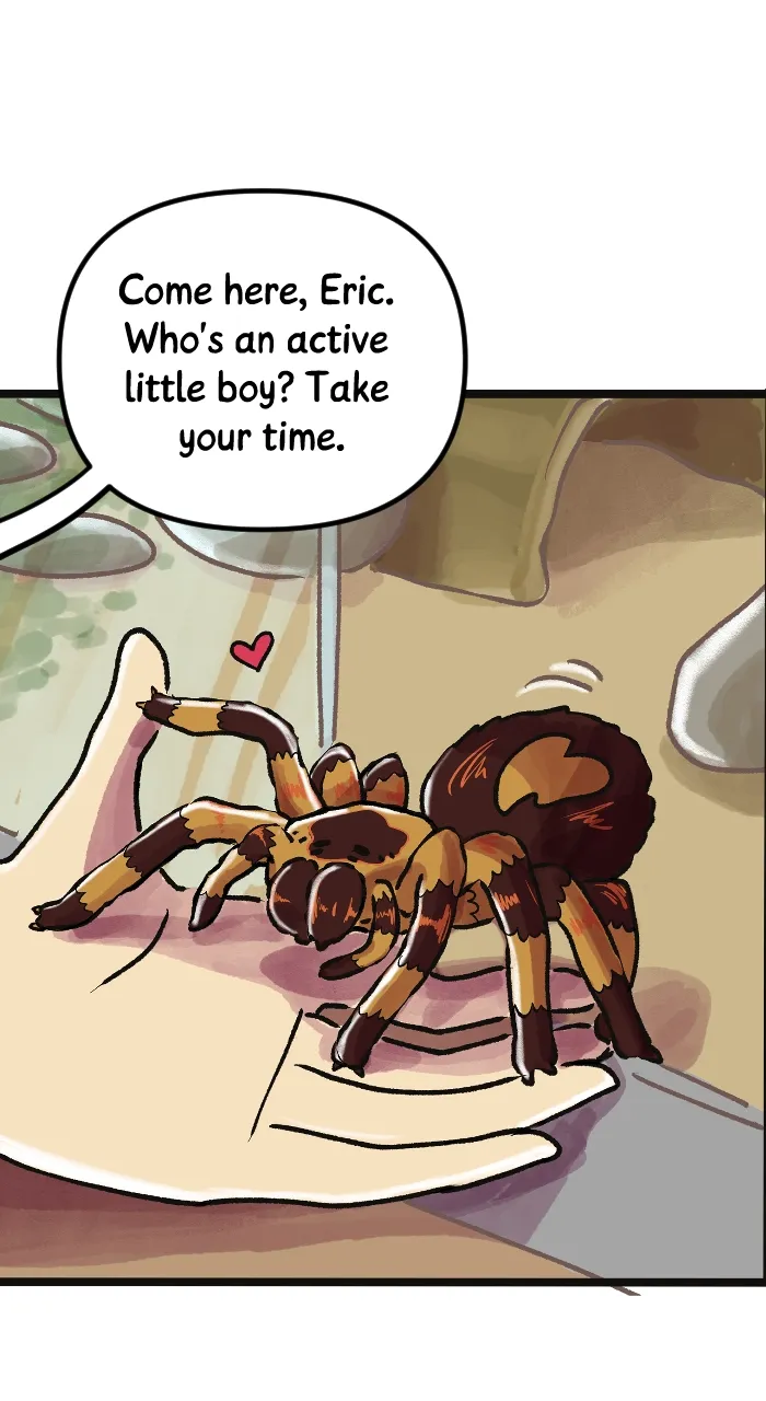 Read Deception chapter 313 image 43 on Lezhin