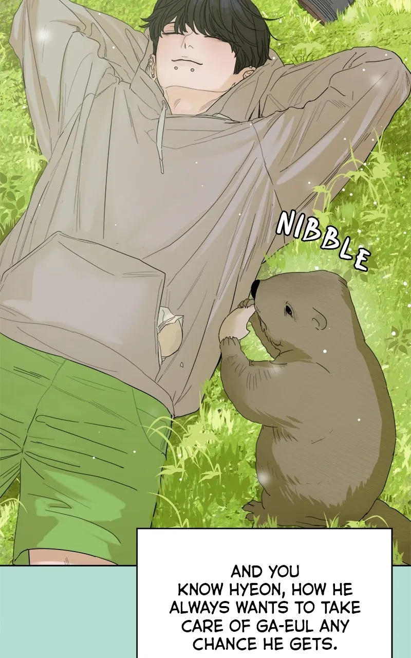 Degree of Love Chapter 70 page 43 - 